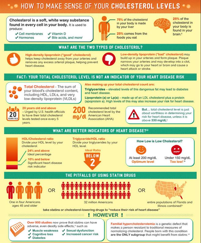 What Your Doctor May Not Tell You About Cholesterol - Nutrient Rich